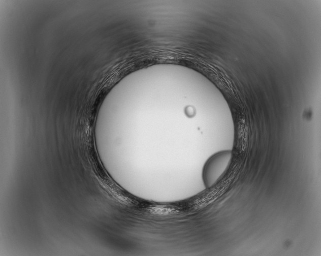 X0000101110614200806261110