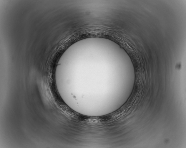 X0000101110615200806261110
