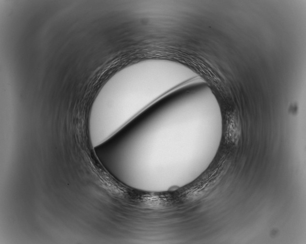 X0000101110616200806261110