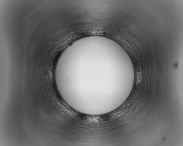 X0000101110618200806261110