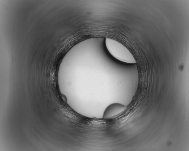 X0000101110619200806261110