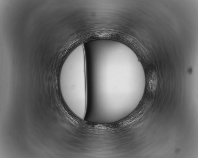 X0000101110620200806261110