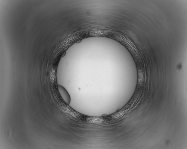 X0000101110621200806261110