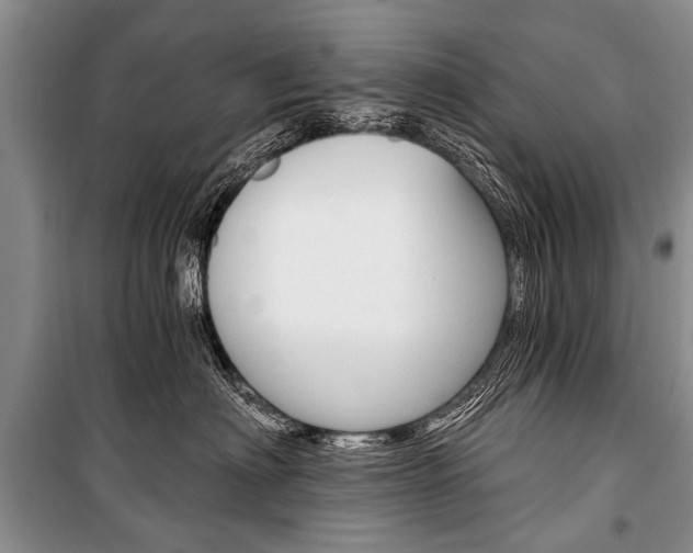 X0000101110622200806261110