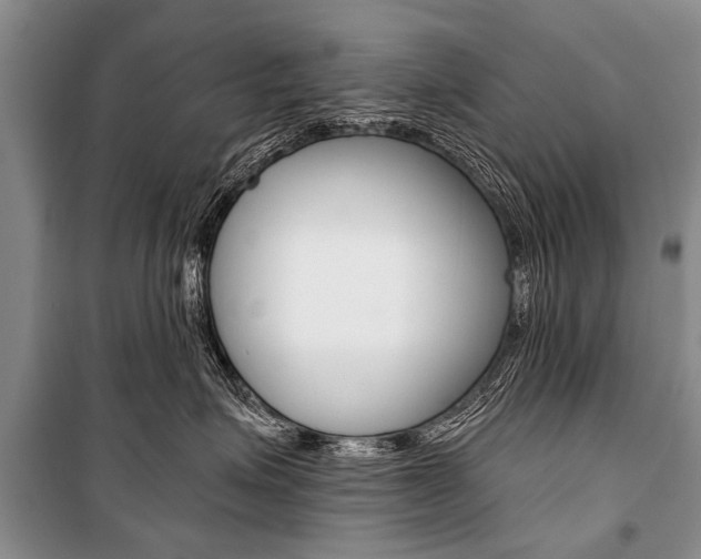 X0000101110623200806261110