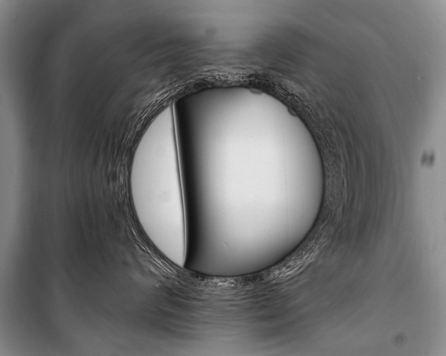 X0000101110624200806261110