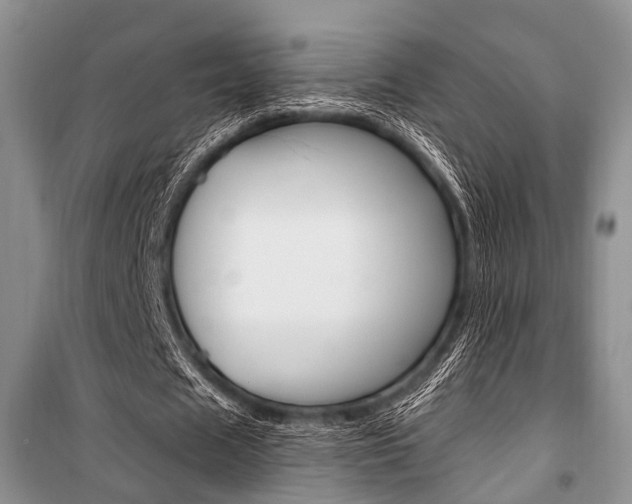 X0000101110625200806261110