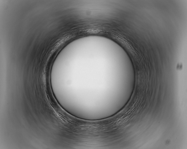 X0000101110626200806261110