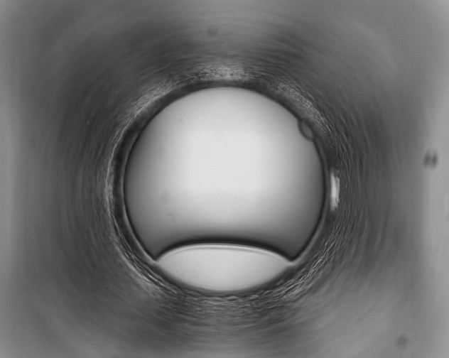 X0000101110627200806261110