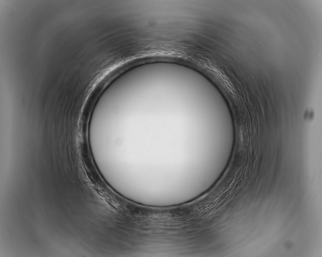 X0000101110628200806261110