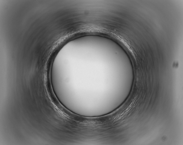 X0000101110629200806261110