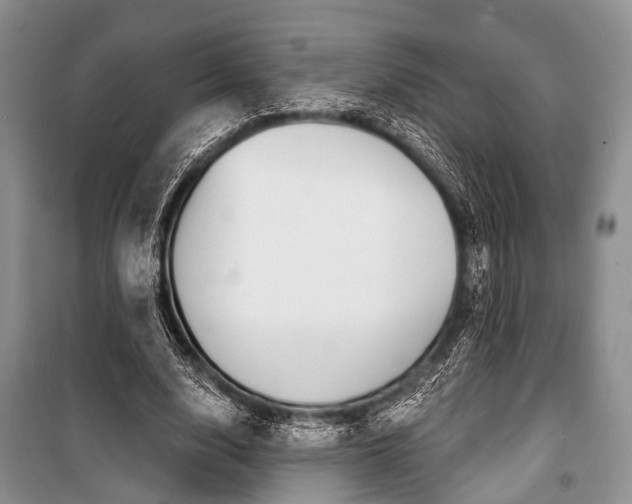 X0000101110632200806261110