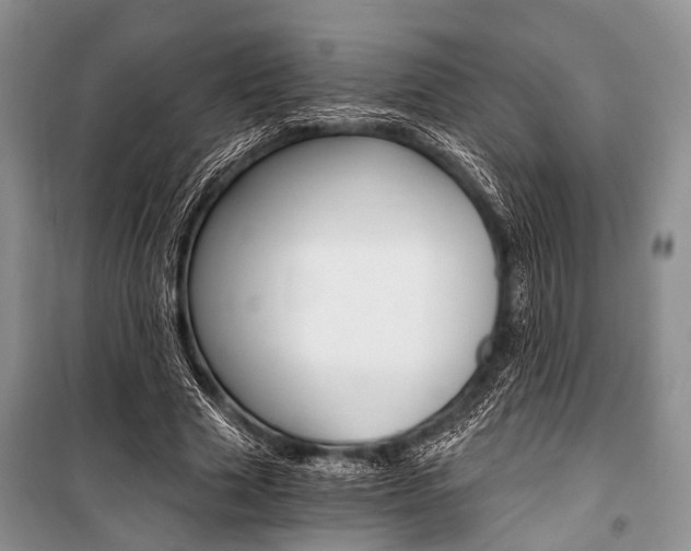 X0000101110633200806261110