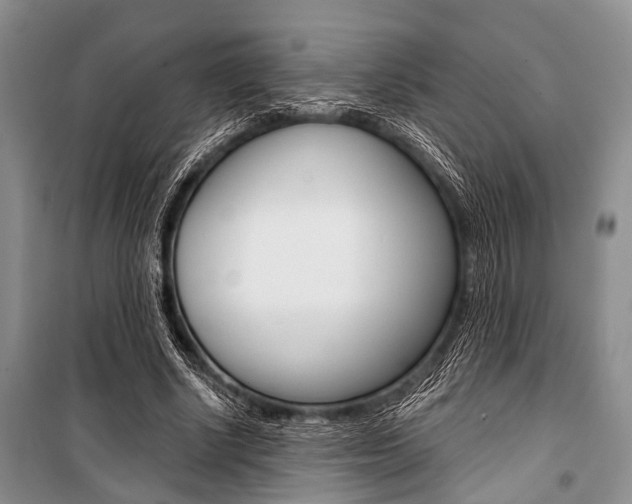 X0000101110634200806261110