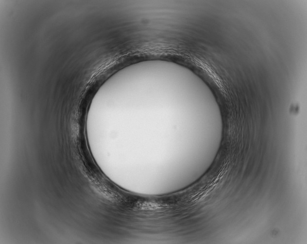 X0000101110635200806261110