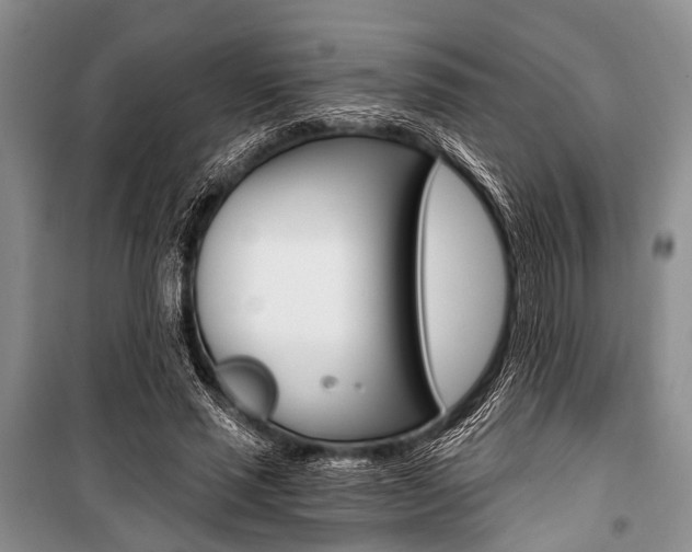 X0000101110637200806261110
