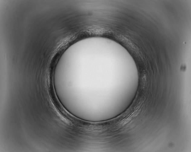 X0000101110638200806261110