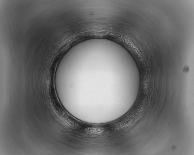 X0000101110639200806261110