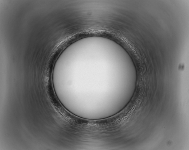 X0000101110640200806261110