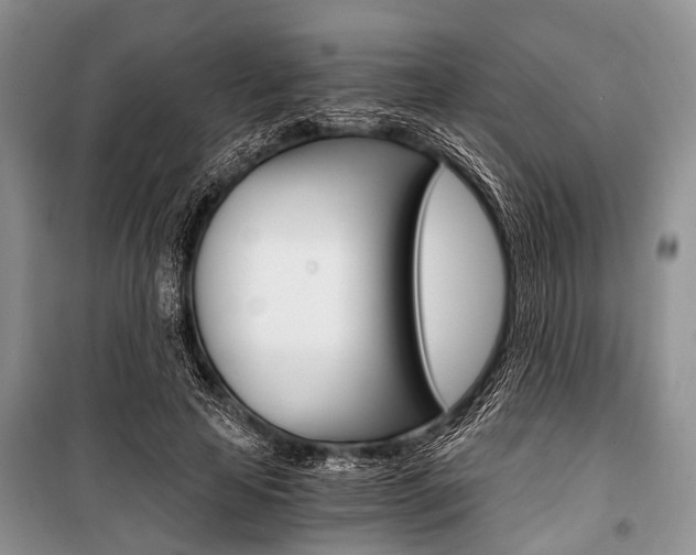 X0000101110641200806261110