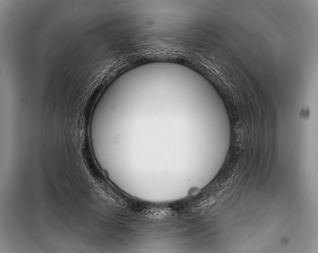 X0000101110642200806261110