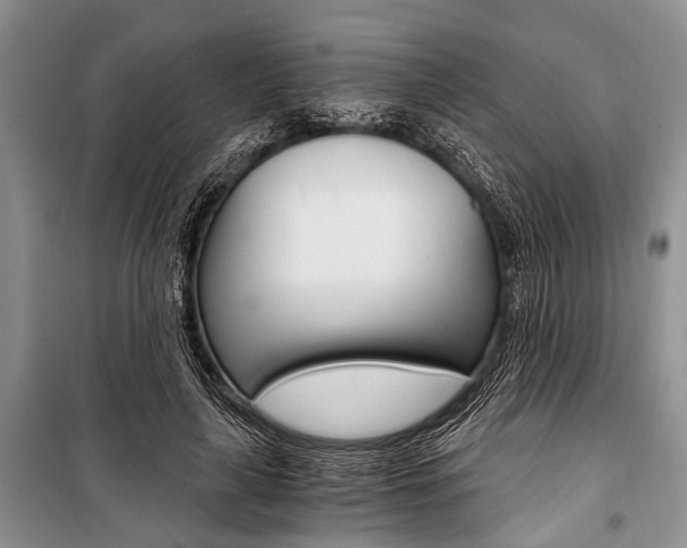 X0000101110643200806261110