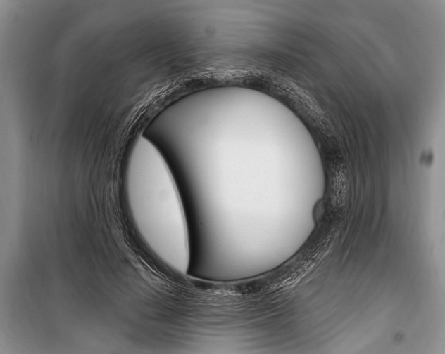 X0000101110644200806261110
