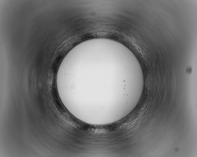 X0000101110645200806261110