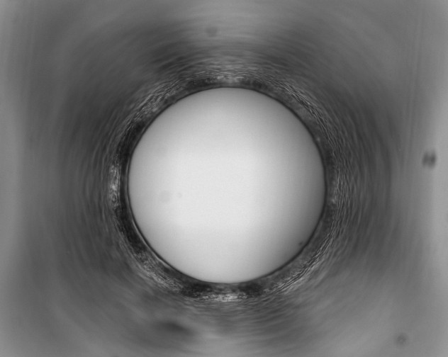 X0000101110646200806261110