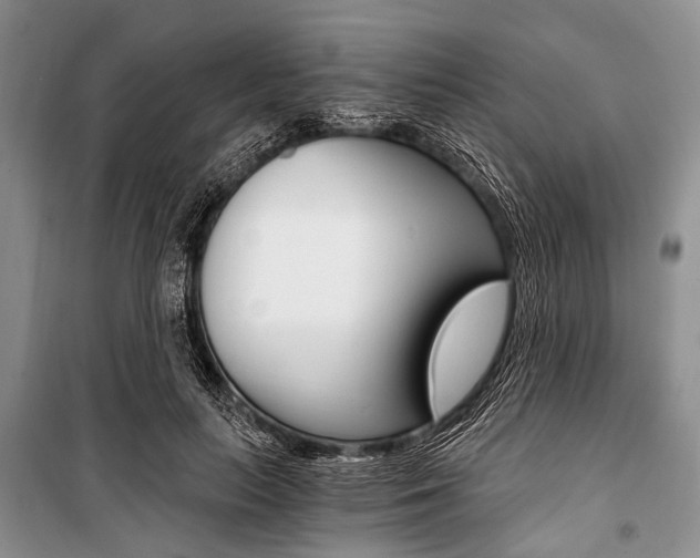 X0000101110647200806261110