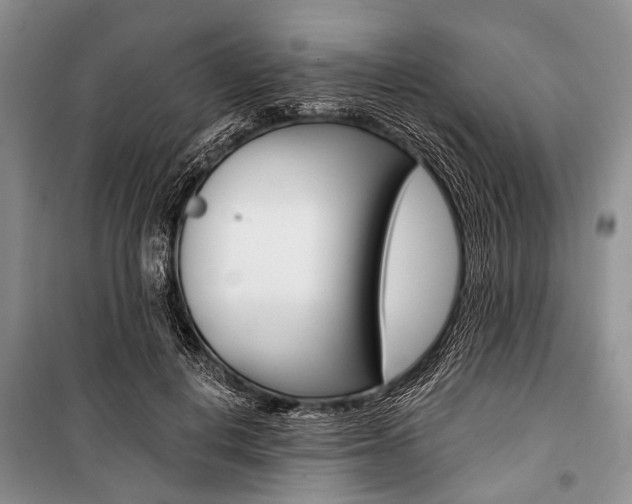 X0000101110648200806261110