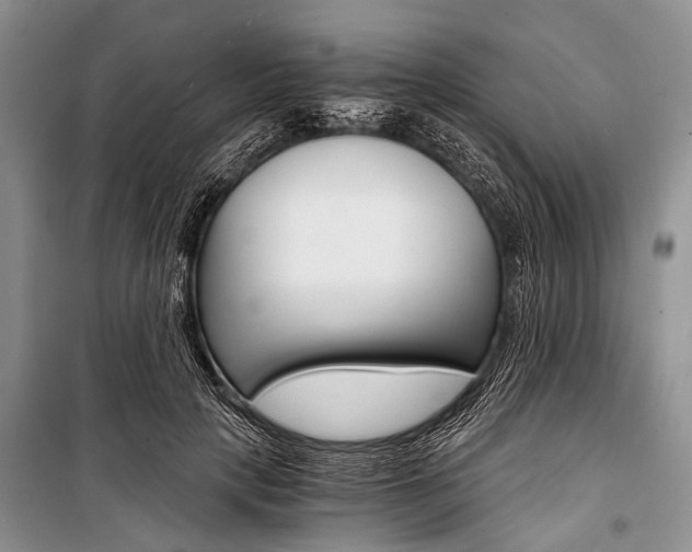 X0000101110649200806261110