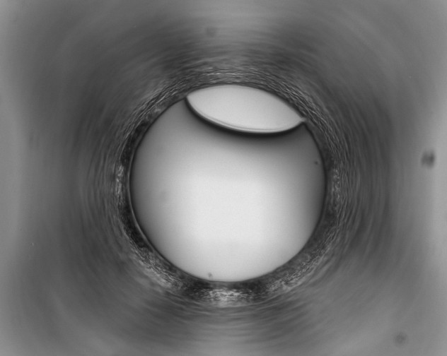X0000101110650200806261110