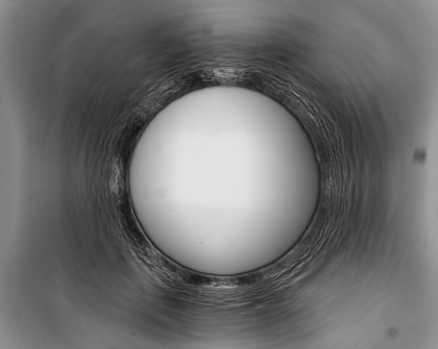 X0000101110651200806261110