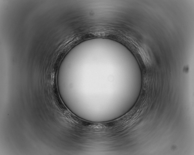X0000101110652200806261110