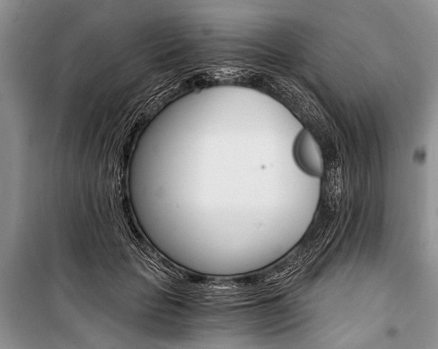 X0000101110653200806261110