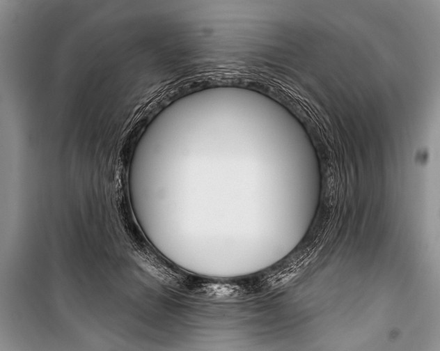 X0000101110654200806261110