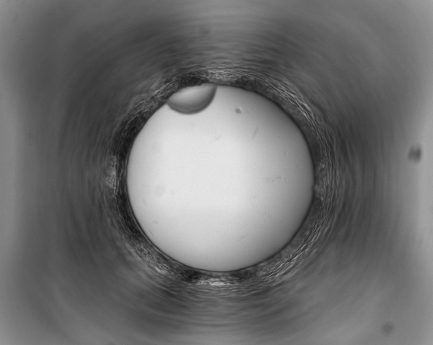 X0000101110655200806261110