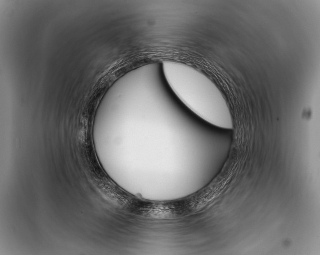 X0000101110656200806261110