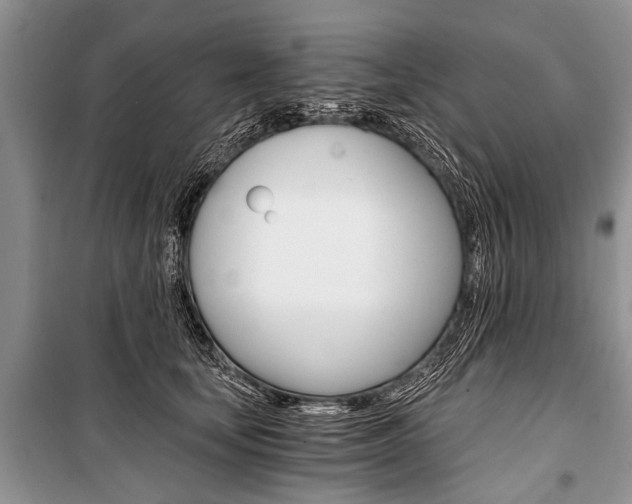 X0000101110659200806261110