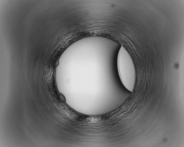 X0000101110660200806261110