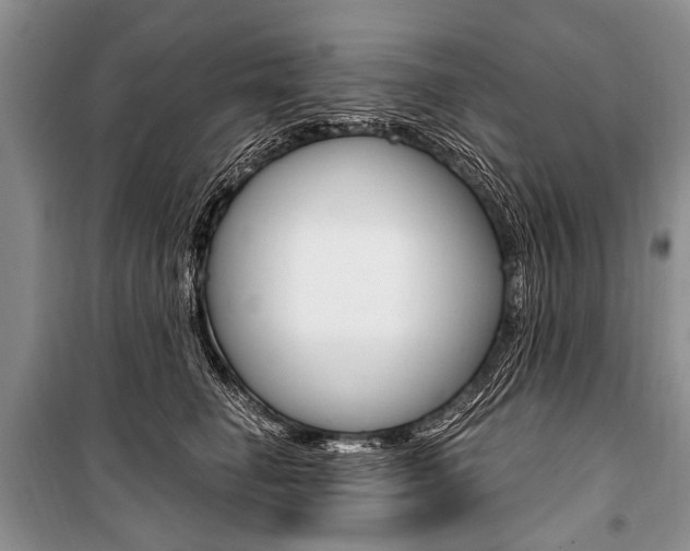 X0000101110662200806261110
