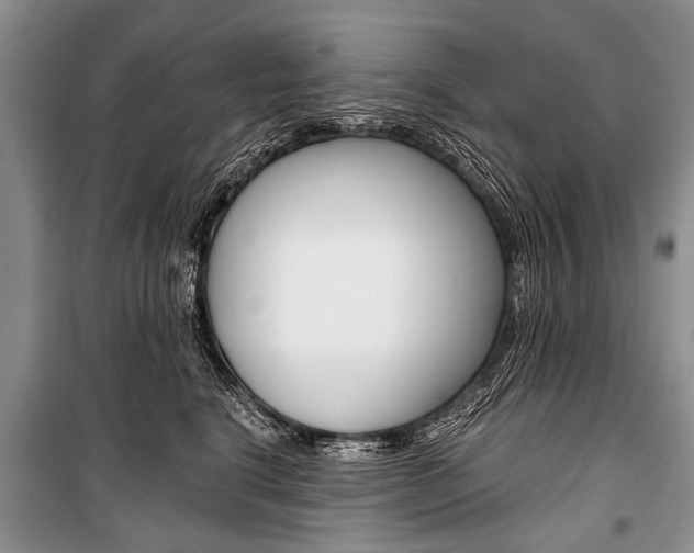 X0000101110664200806261110