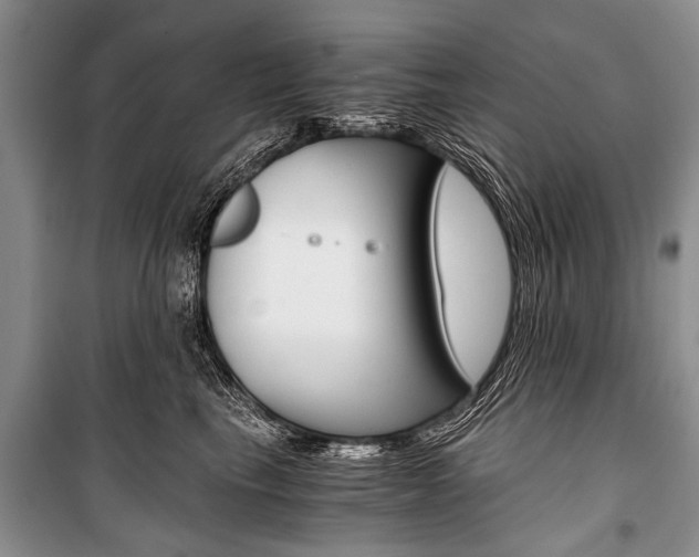 X0000101110665200806261110