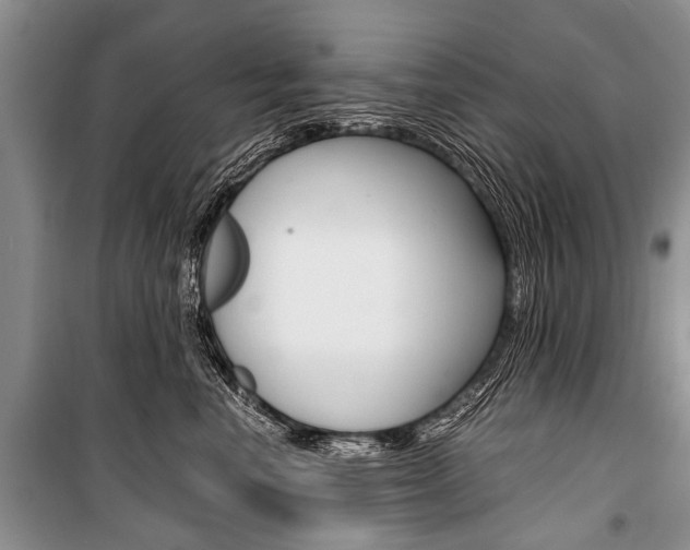 X0000101110666200806261110