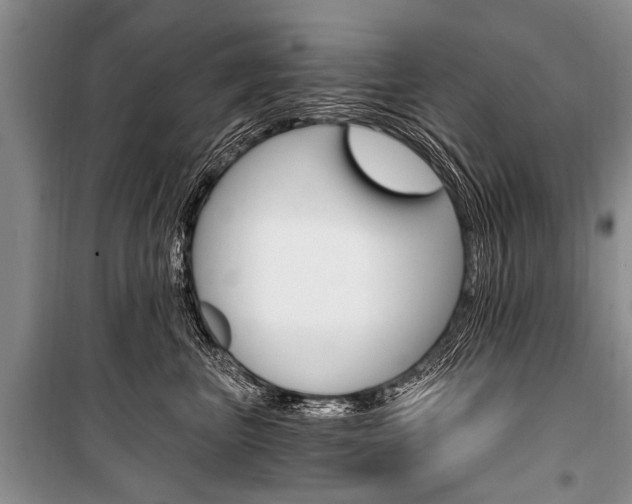 X0000101110667200806261110