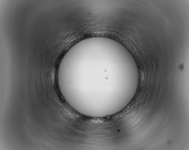 X0000101110668200806261110