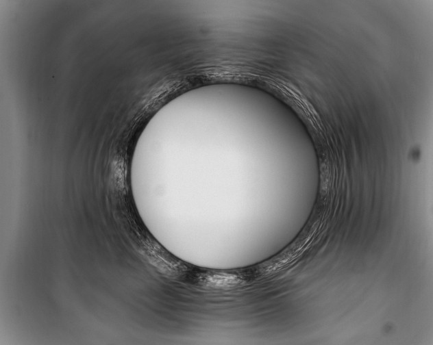X0000101110669200806261110