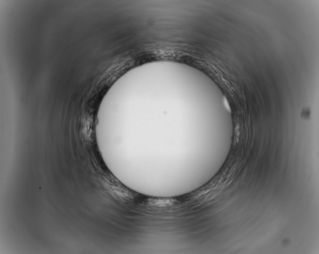 X0000101110671200806261110