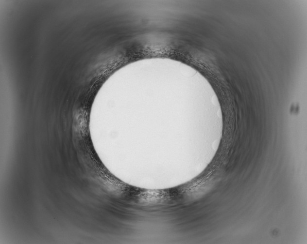 X0000101110672200806261110